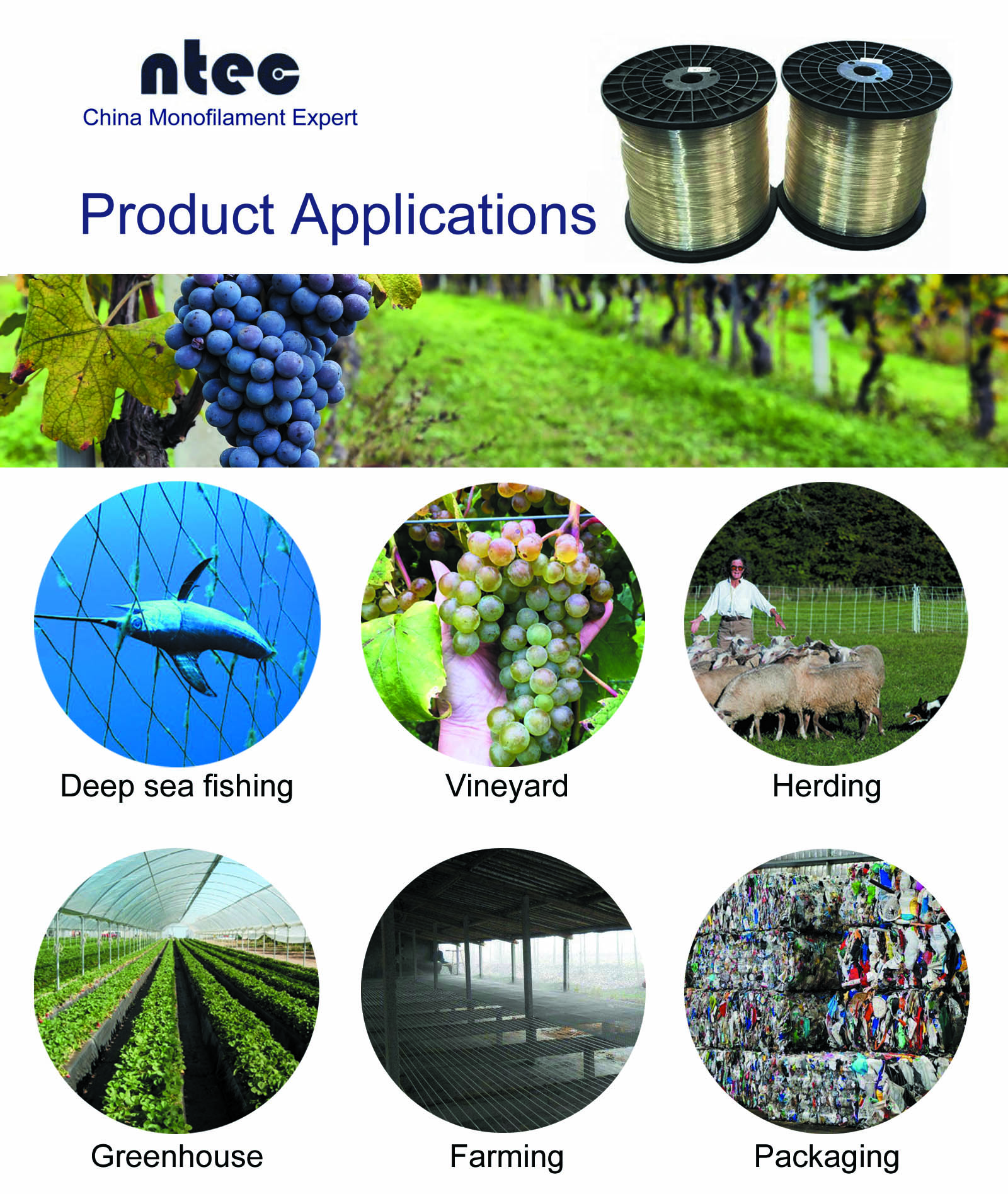product-750-1